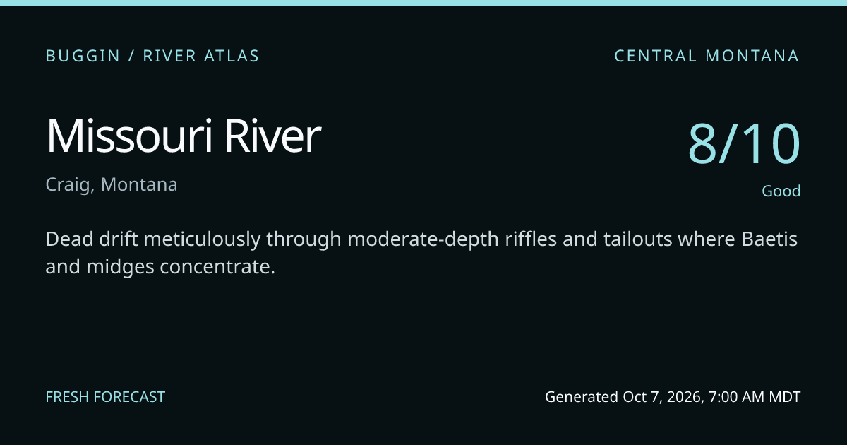 Missouri River Hatch Report | Buggin